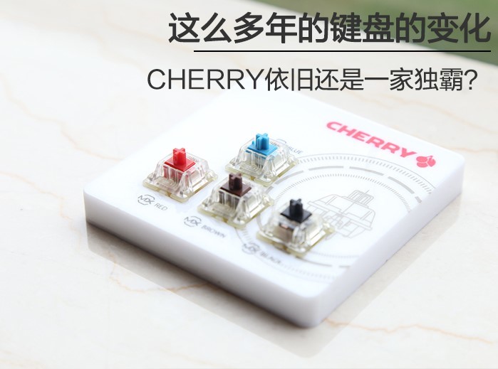 不是Cherry一家独大 这将是未来走向j9九游会(中国)网站机械键盘市场早已(图5)